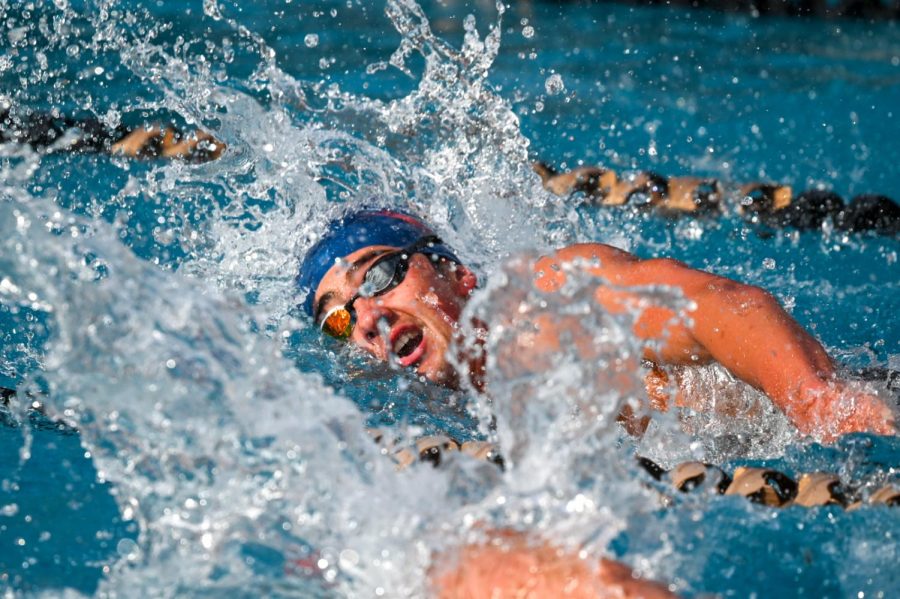 SRJC Swim and Dive Team makes a big splash at Big 8