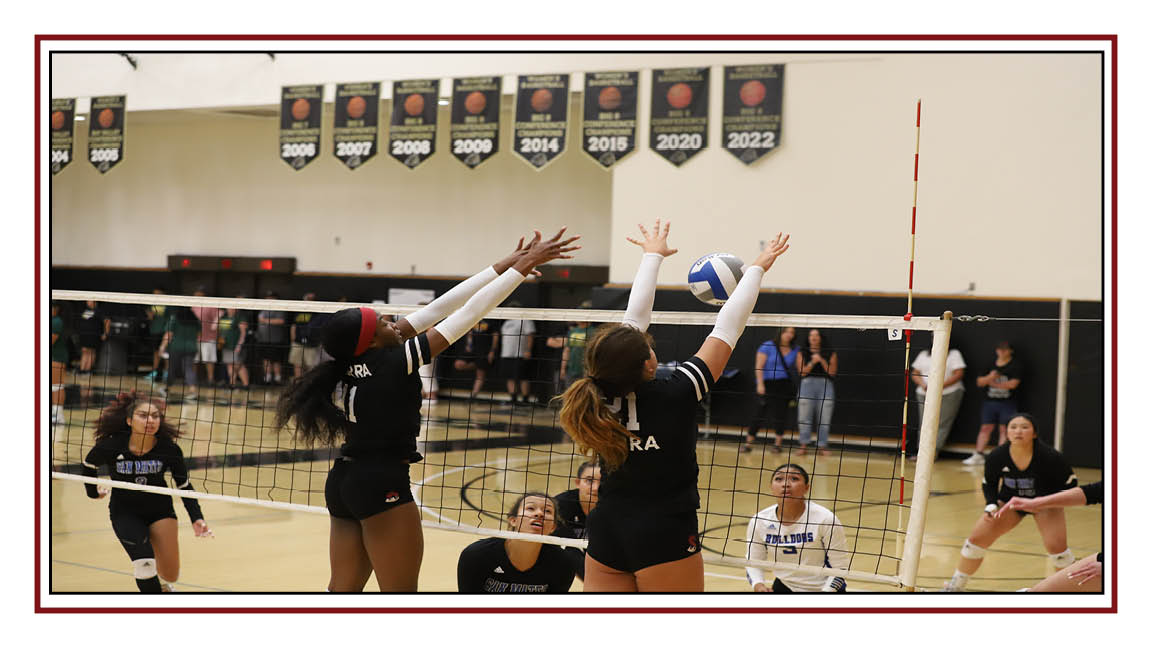 Two Solid Performances by the Wolverines W. Volleyball Team